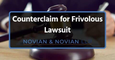 Counterclaim For Frivolous Lawsuit | Defend Your Business With Novian ...